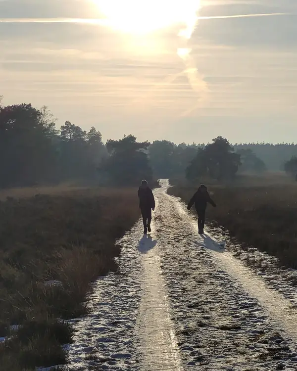 Twee wandelaars lopen naast elkaar over een besneeuwd heidepad, tegen de laagstaande winterzon in