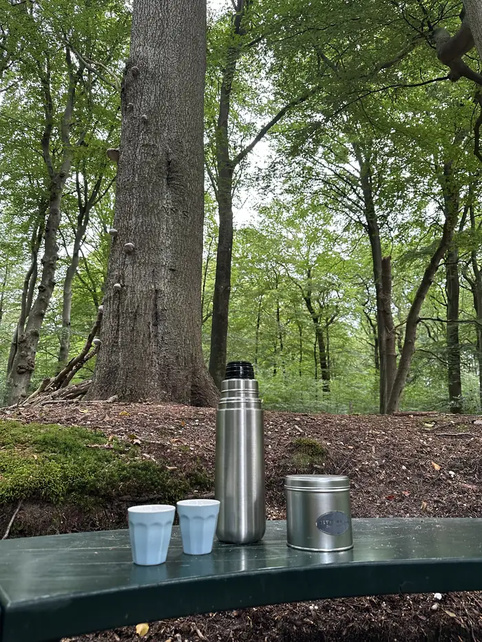 Een thermoskan met twee bekertjes en een theeblik op een bankje in het bos