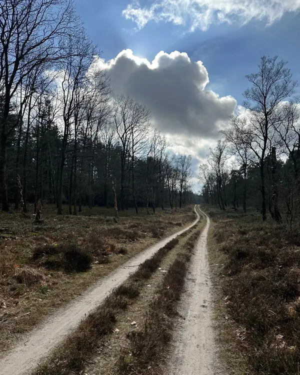 Een zandpad loopt over de heide naar de horizon, onder een grote witte wolk