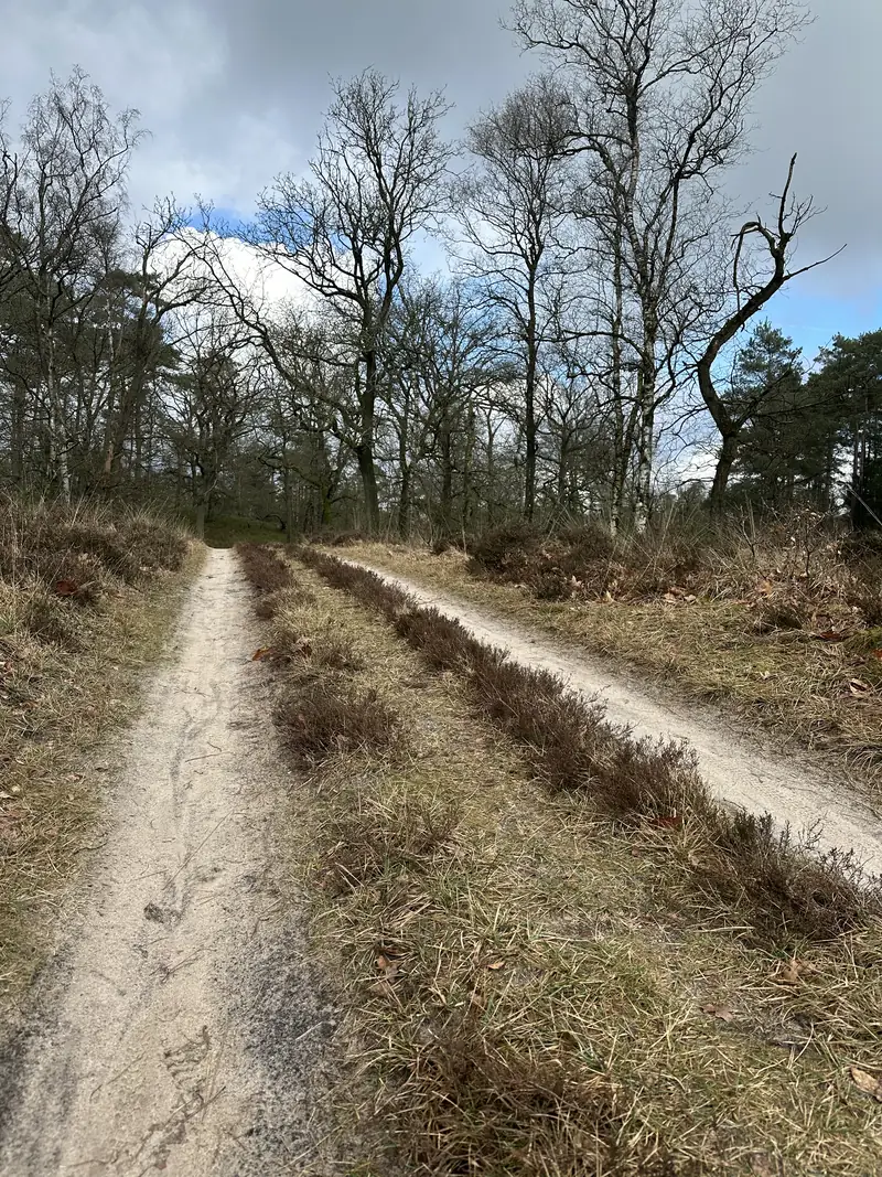Een zandpad over de heide dat zich splitst in twee richtingen
