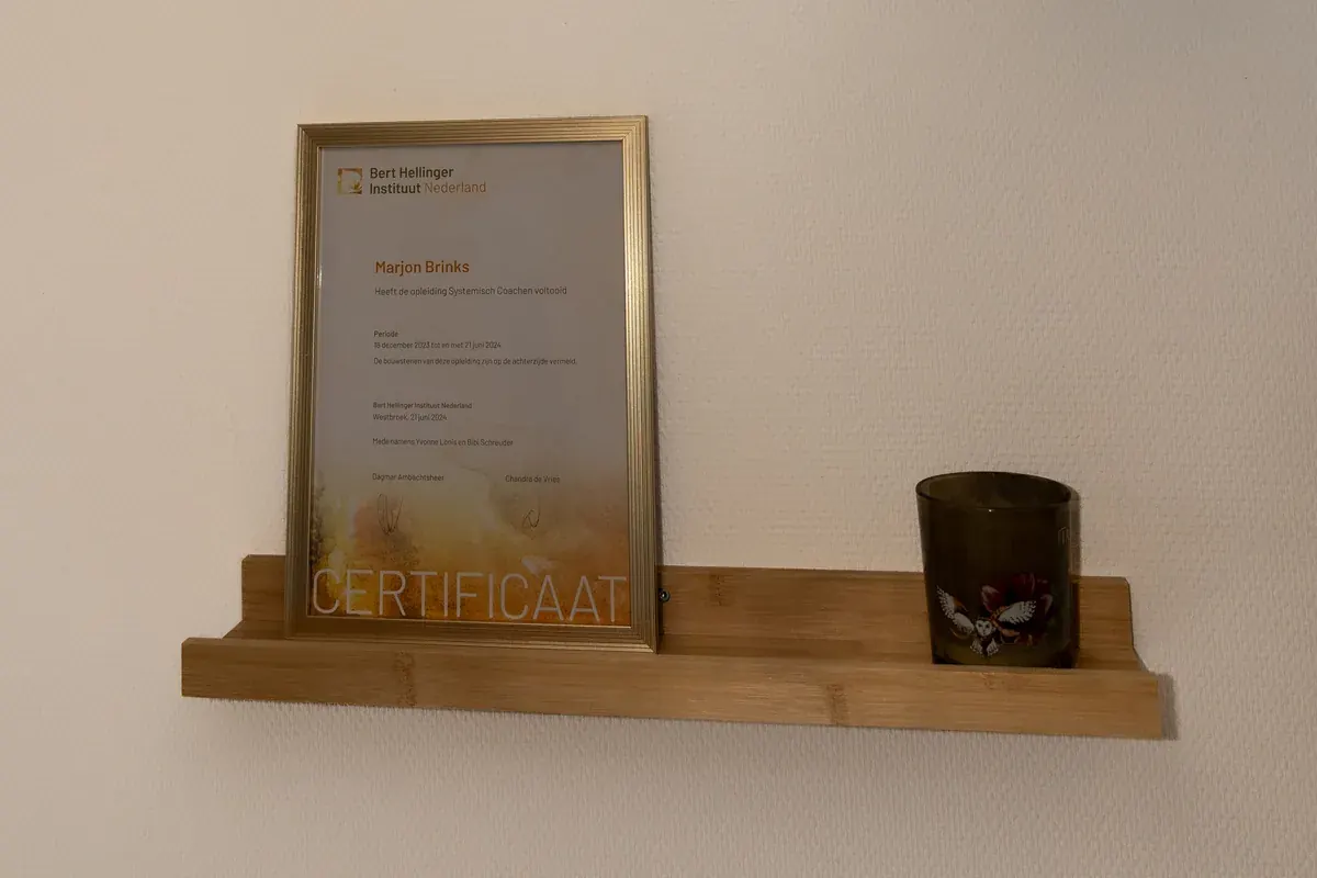 Certificaat Systemisch Coachen van het Bert Hellinger Instituut Nederland